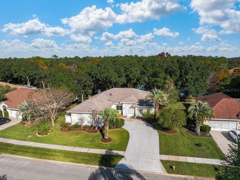 Photo of 28 Cedar Point Drive, Palm Coast, FL 32164 (MLS # FC314025)