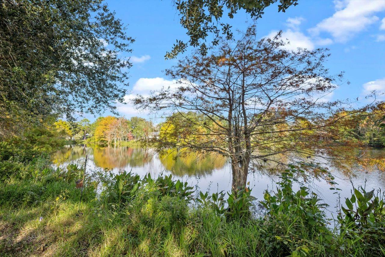 THE HAMPTONS - Residential