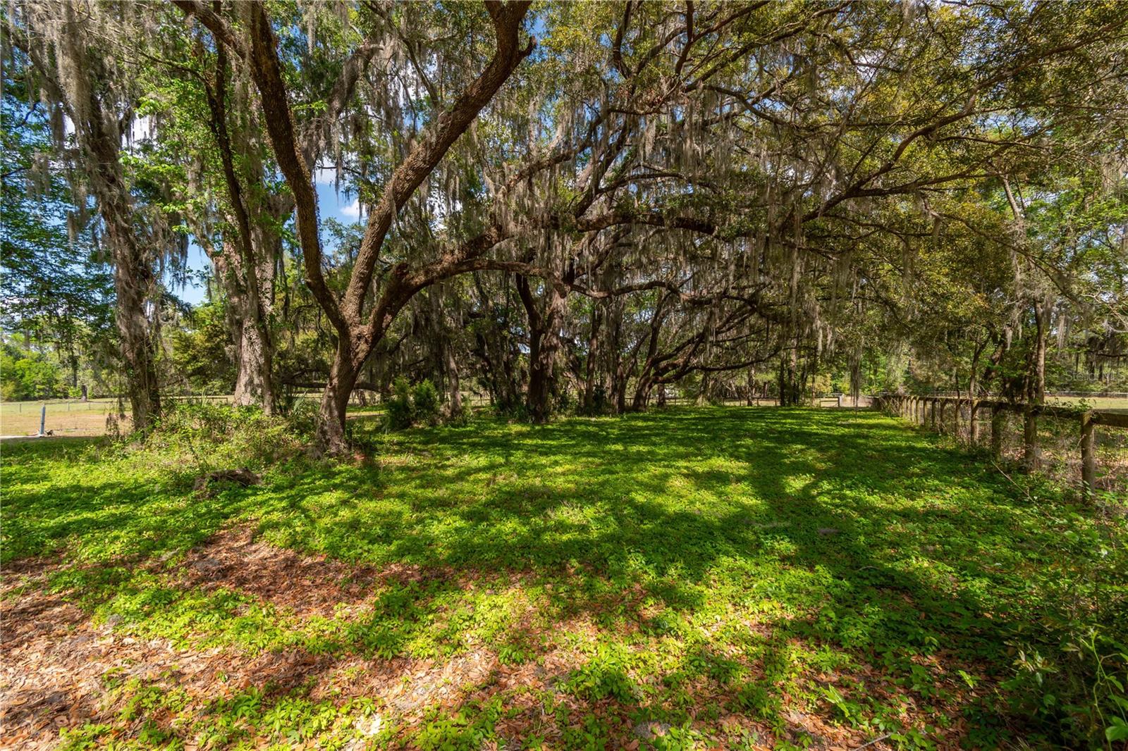 WHIP-POOR-WILL PLANTATION - Land