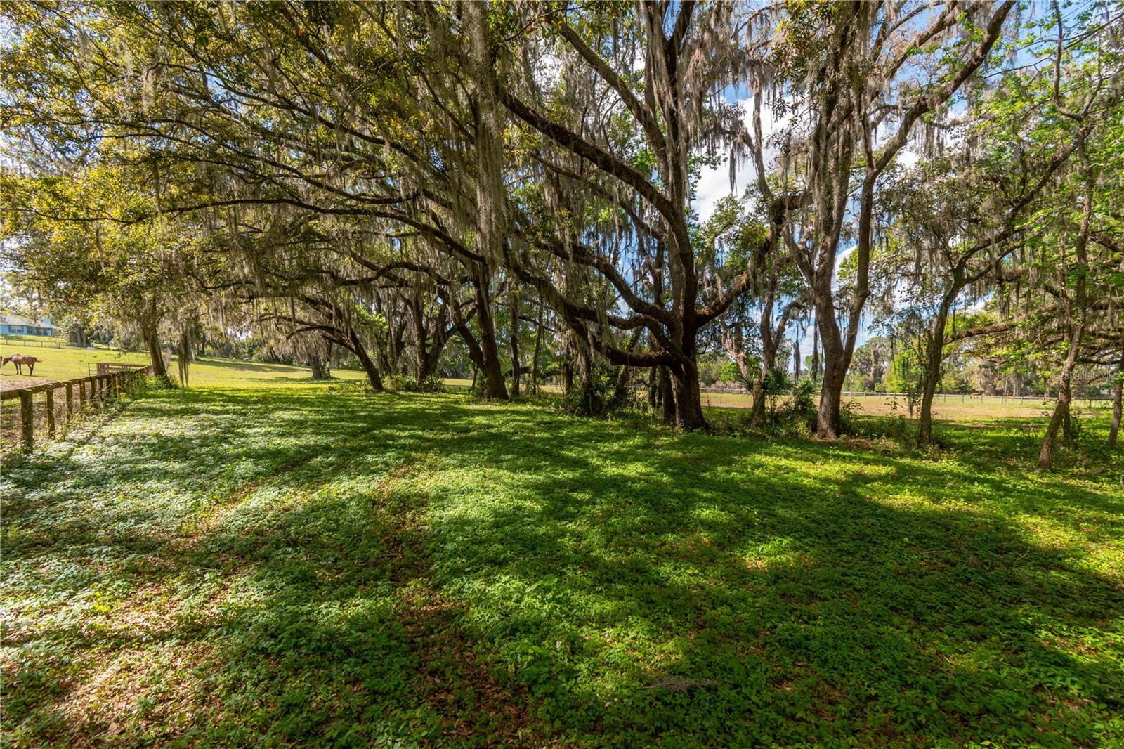 WHIP-POOR-WILL PLANTATION - Land