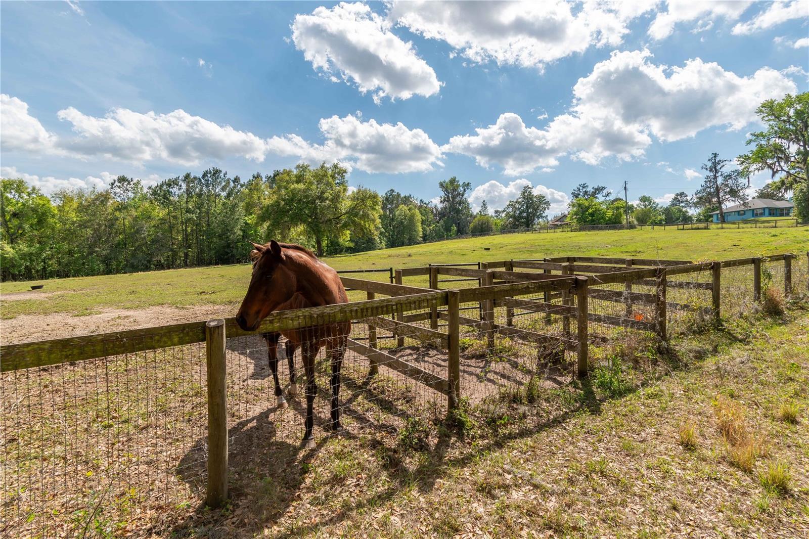 WHIP-POOR-WILL PLANTATION - Land