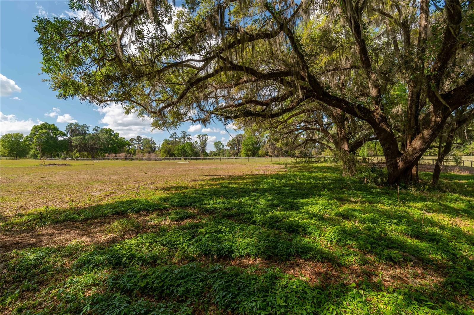 WHIP-POOR-WILL PLANTATION - Land