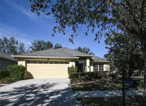 Photo of 11142 Irish Moss Avenue, Riverview, FL 33569 (MLS # TB8337108)