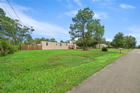 A home in BELLEVIEW