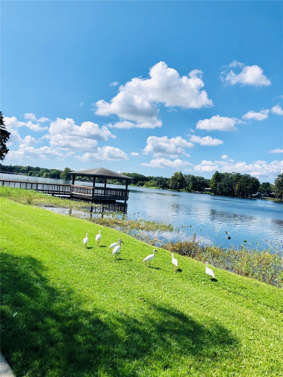 RIVERWALK AT WATERSIDE ISLAND - Residential Lease