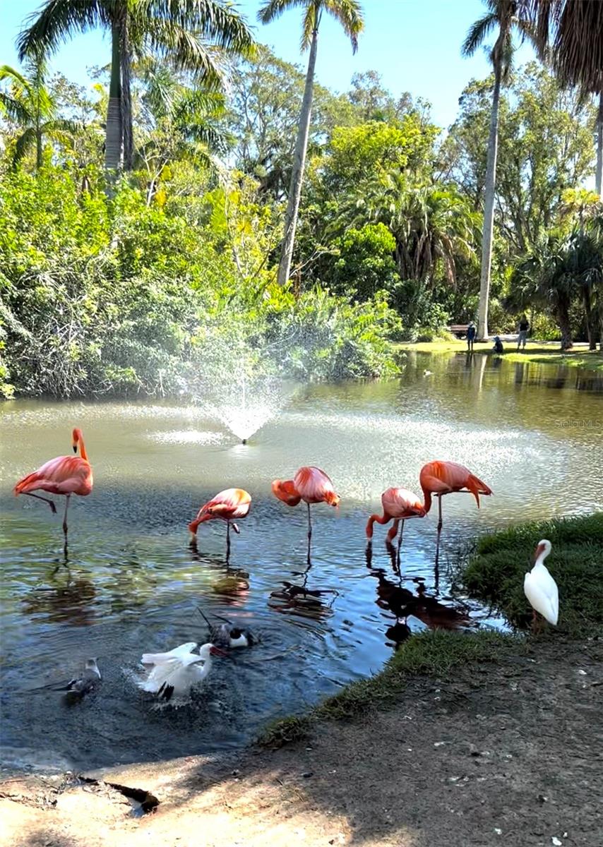 PORT CHARLOTTE SEC 038 - Land