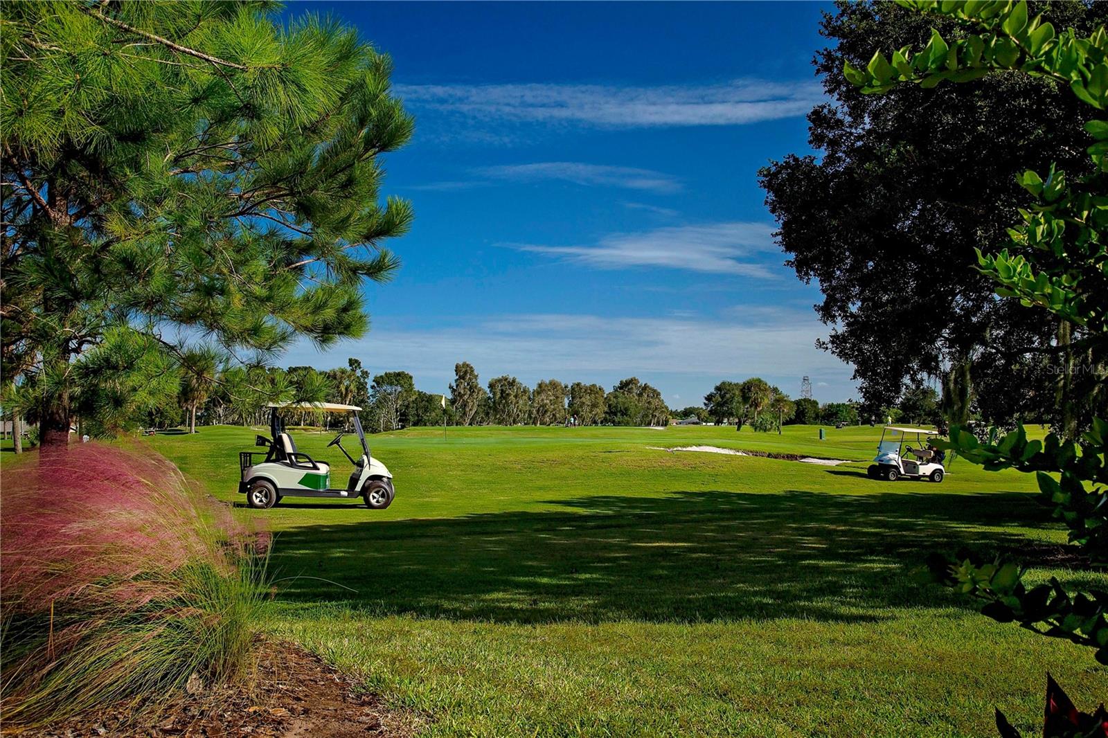 DEL WEBBS SUN CITY FLORIDA UN - Residential