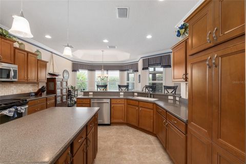 Tiny photo for 2993 Rainsong Avenue, The Villages, FL 32163 (MLS # G5113035)
