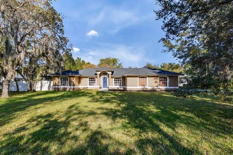 Photo of 3230 Rustic Drive, Kissimmee, FL 34744 (MLS # S5138709)