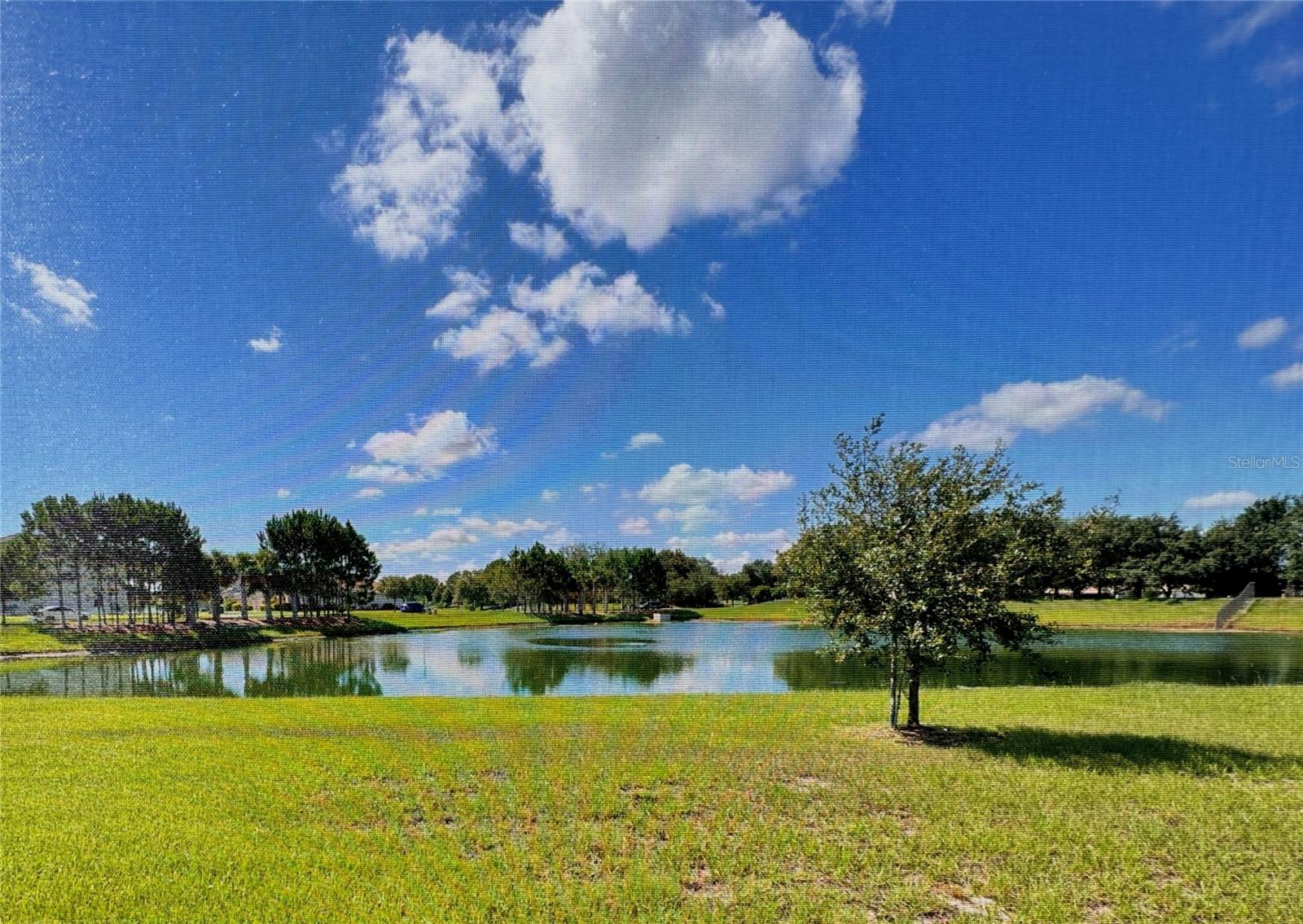 BELLALAGO PH B-2 - Residential Lease