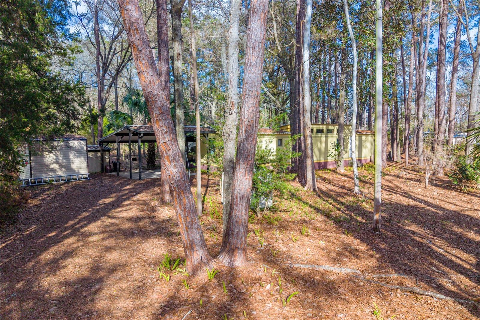 SEMINOLE WOODS - Residential