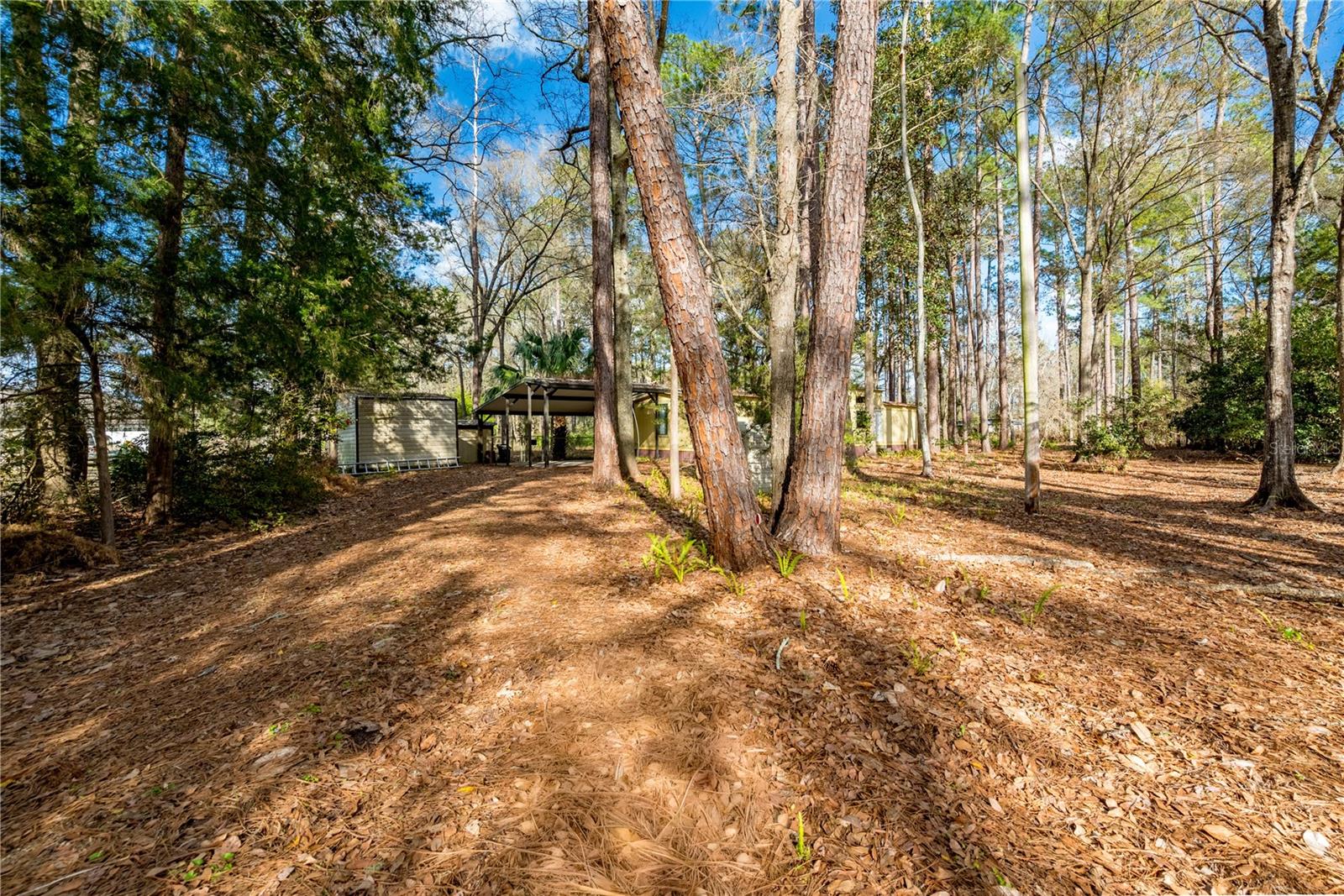 SEMINOLE WOODS - Residential