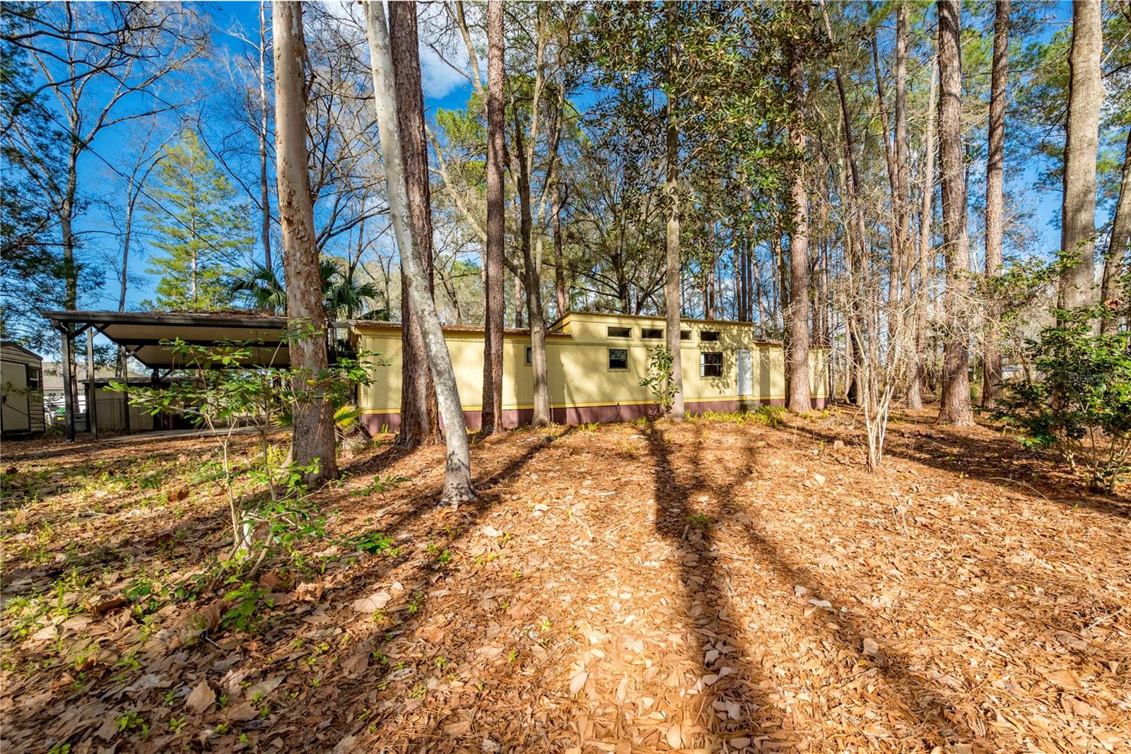 SEMINOLE WOODS - Residential