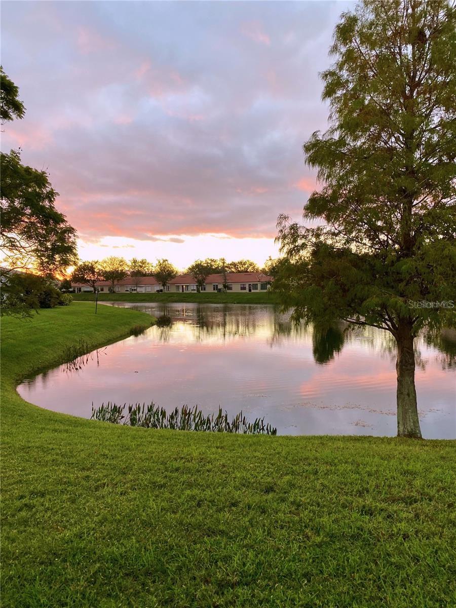 MAINLANDS OF TAMARAC BY THE GULF UNIT 5 PH 2 CONDO - Residential