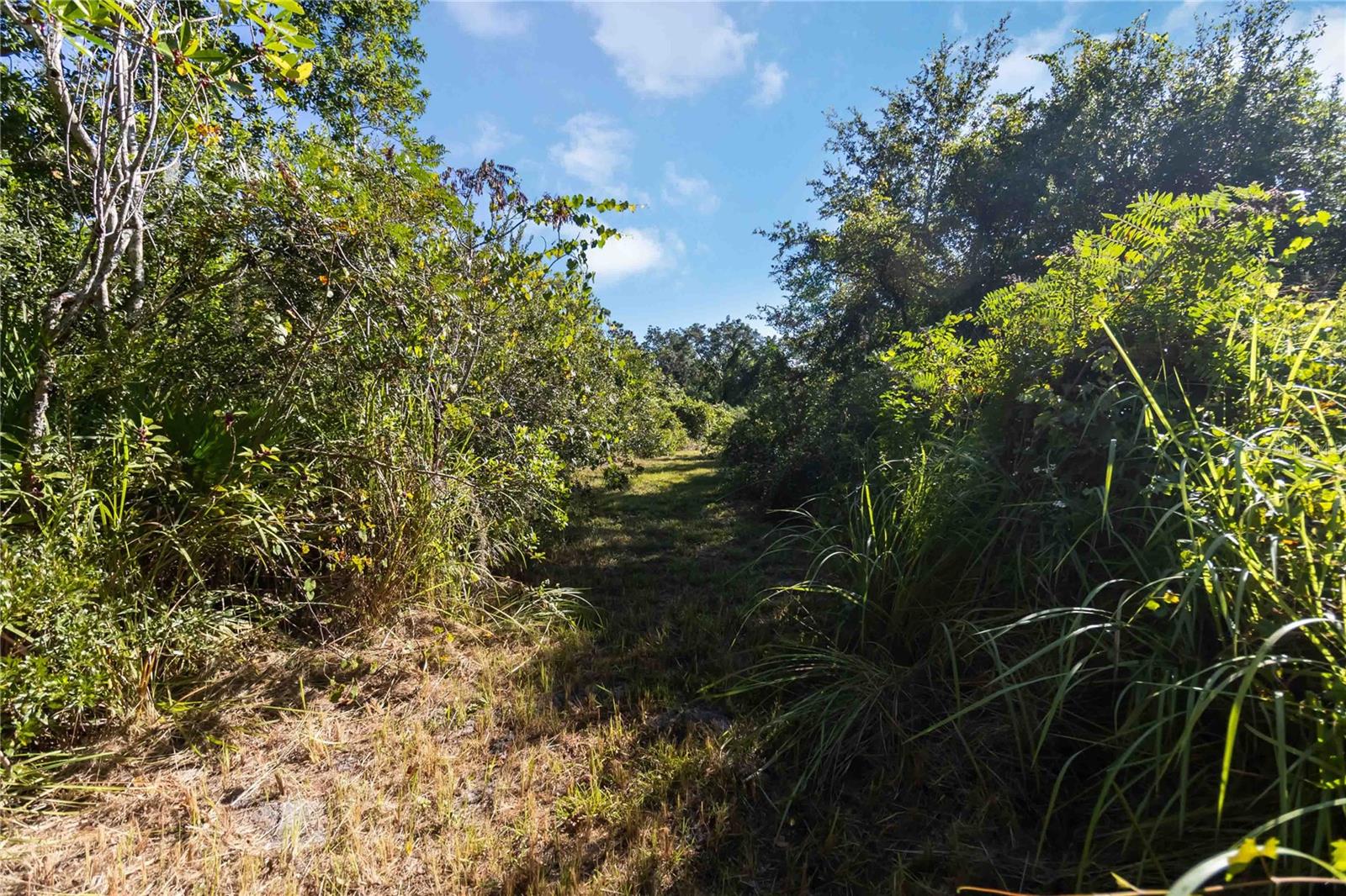 ST CLOUD MANOR ESTATES UNIT 3 - Land