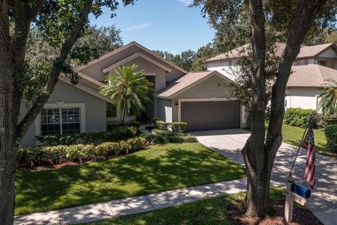 A home in VALRICO