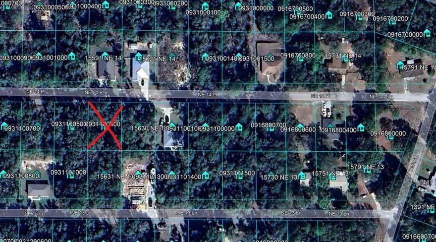 Bring your golf cart! Short ride to the newly renovated golf course. One of the nicest neighborhoods in Williston Highlands with lots of new construction homes all around. Build your dream home in this quiet, wooded neigborhood in the NW Nature Coast area located near Ocala and Gainesville.