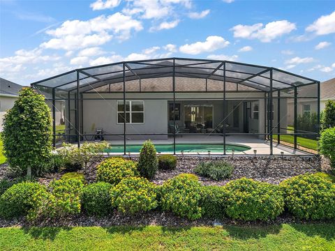 A home in MOUNT DORA