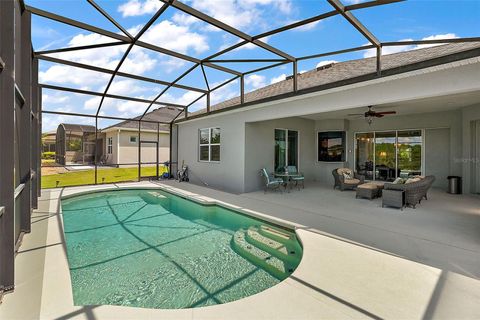 A home in MOUNT DORA