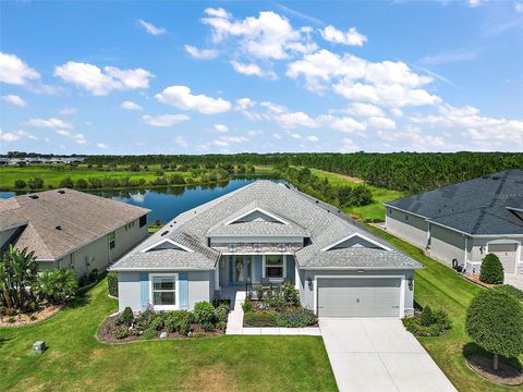 A home in MOUNT DORA