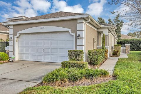 Photo of 3259 River Branch Circle, Kissimmee, FL 34741 (MLS # O6361282)