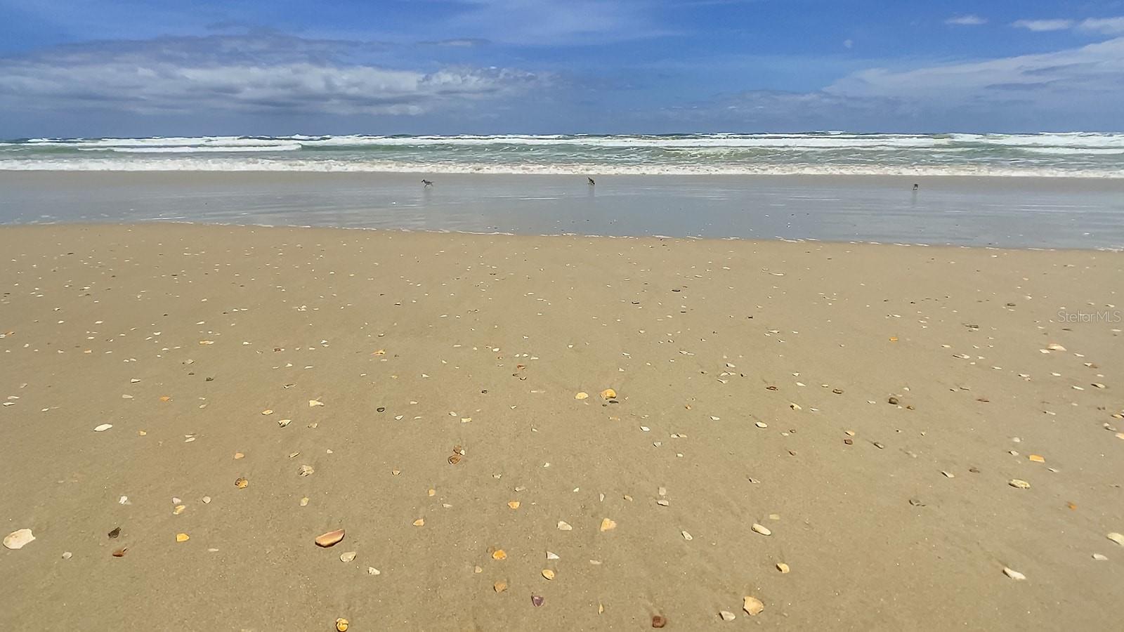 ERROL BY SEA - Residential