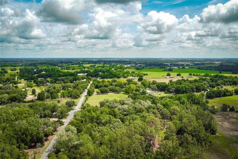 Tiny photo for 14002 Bay Lake Road, Groveland, FL 34736 (MLS # O6412629)