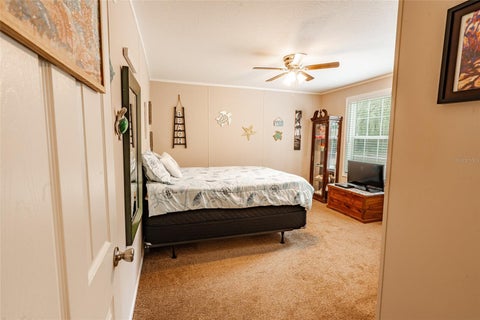 Tiny photo for 14002 Bay Lake Road, Groveland, FL 34736 (MLS # O6412629)