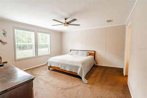 Tiny photo for 14002 Bay Lake Road, Groveland, FL 34736 (MLS # O6412629)