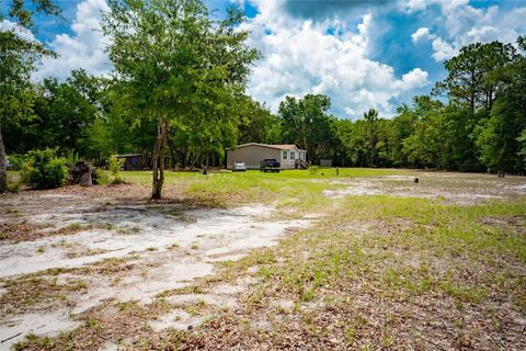 Tiny photo for 14002 Bay Lake Road, Groveland, FL 34736 (MLS # O6412629)