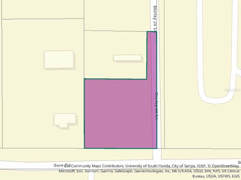 Photo of 12946 Gore Road, Dover, FL 33527 (MLS # T3517306)