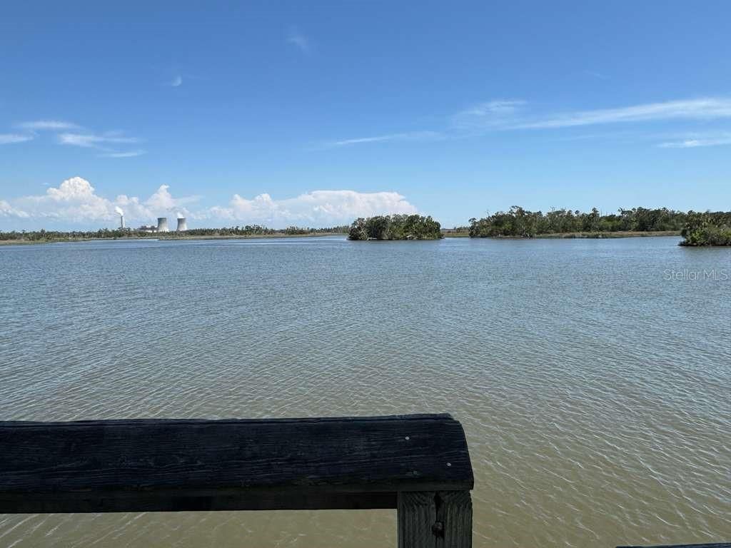 Photo of 162 N Indianapolis Avenue, Hernando, FL 34442 (MLS # O6366315)