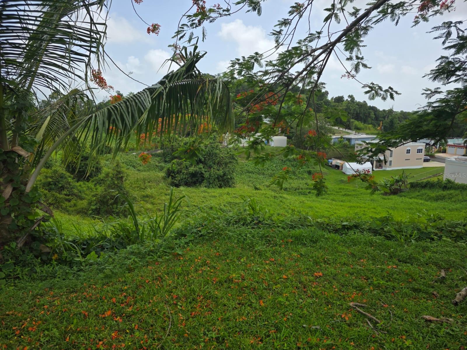 KM 4.5 SR 962 BO. CAMBALACHE