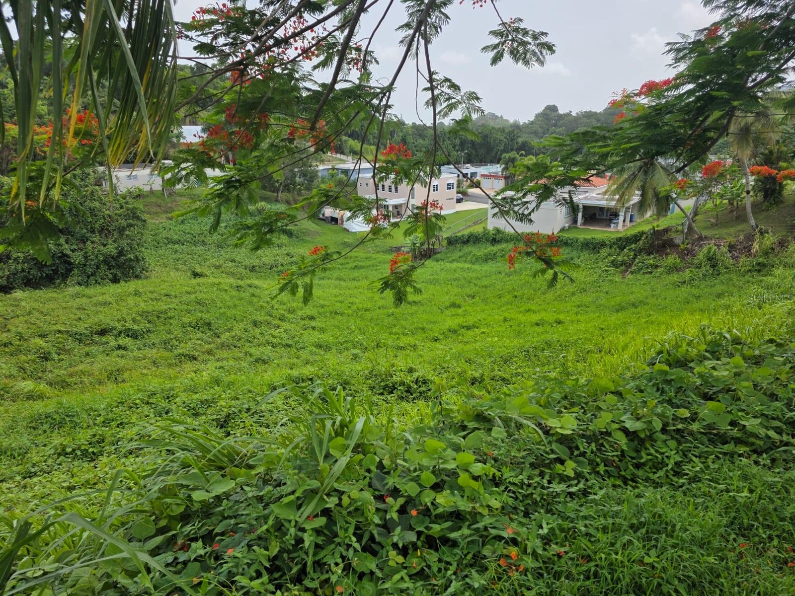 KM 4.5 SR 962 BO. CAMBALACHE