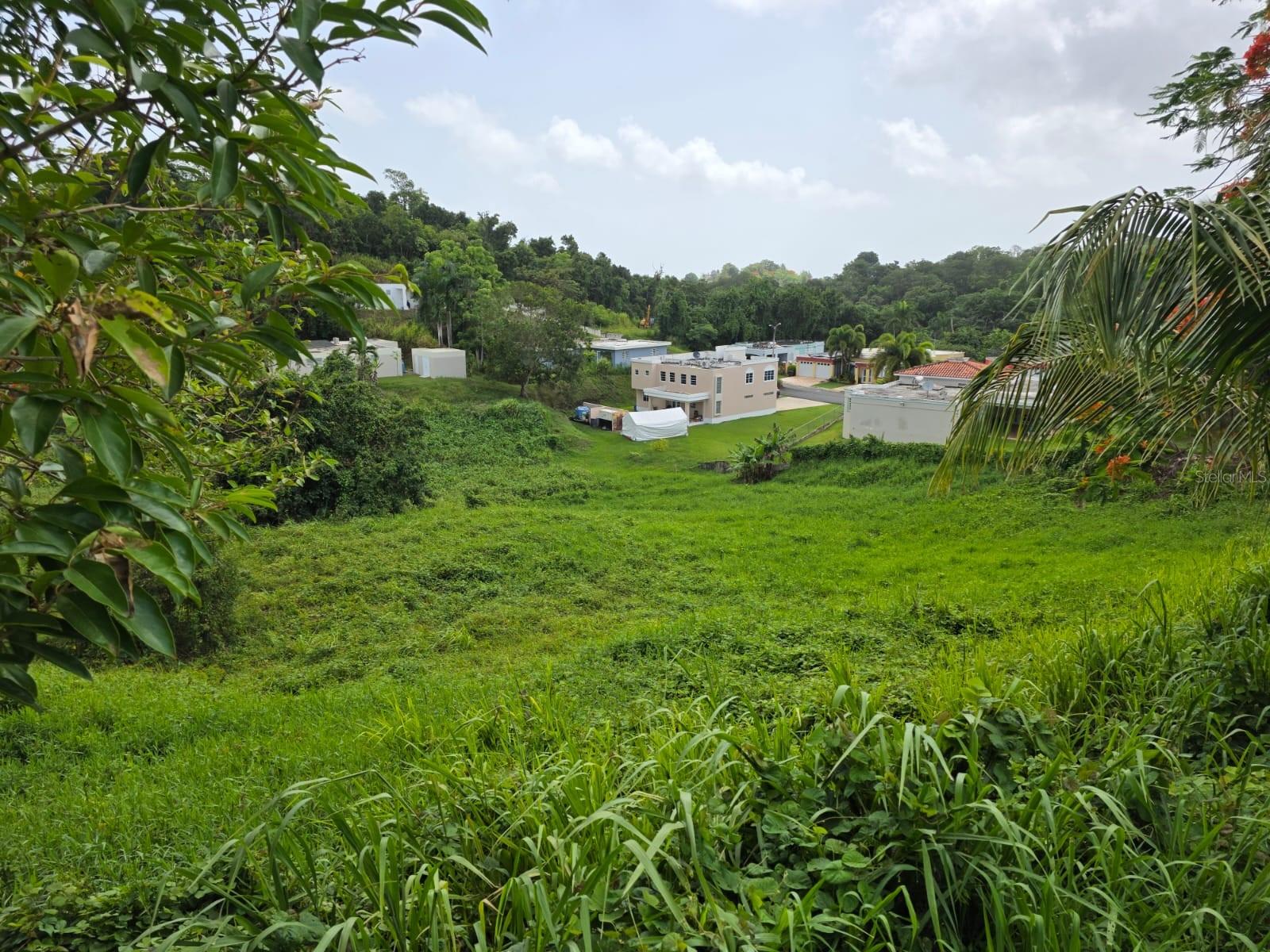 KM 4.5 SR 962 BO. CAMBALACHE