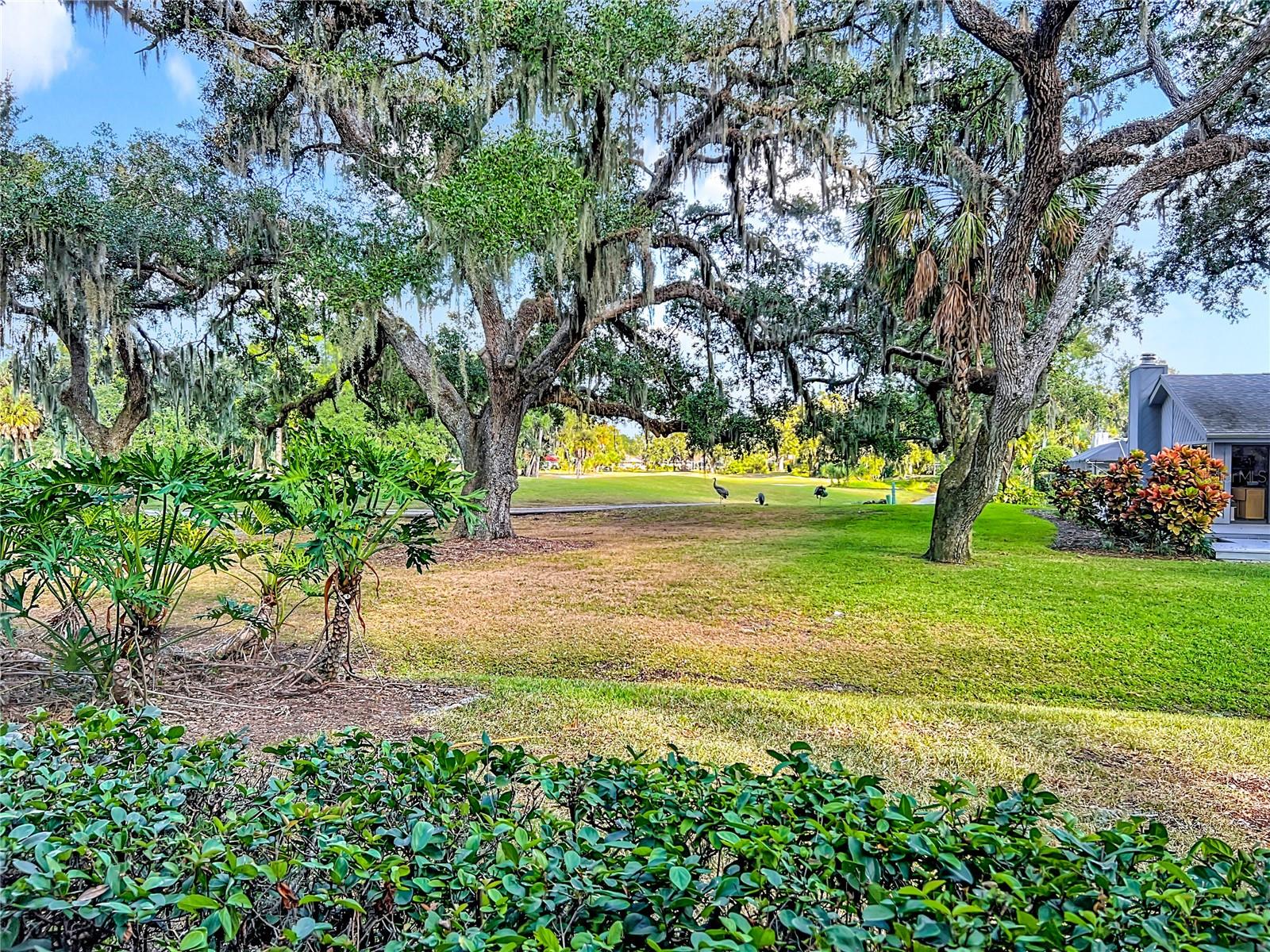 HAMMOCKS - Residential Lease