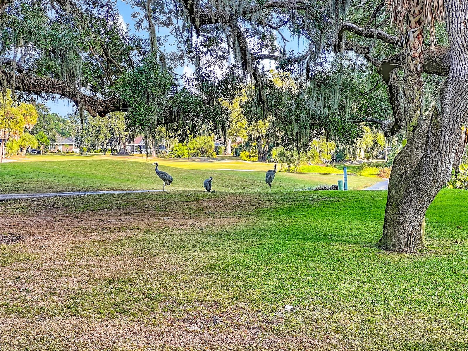 HAMMOCKS - Residential Lease