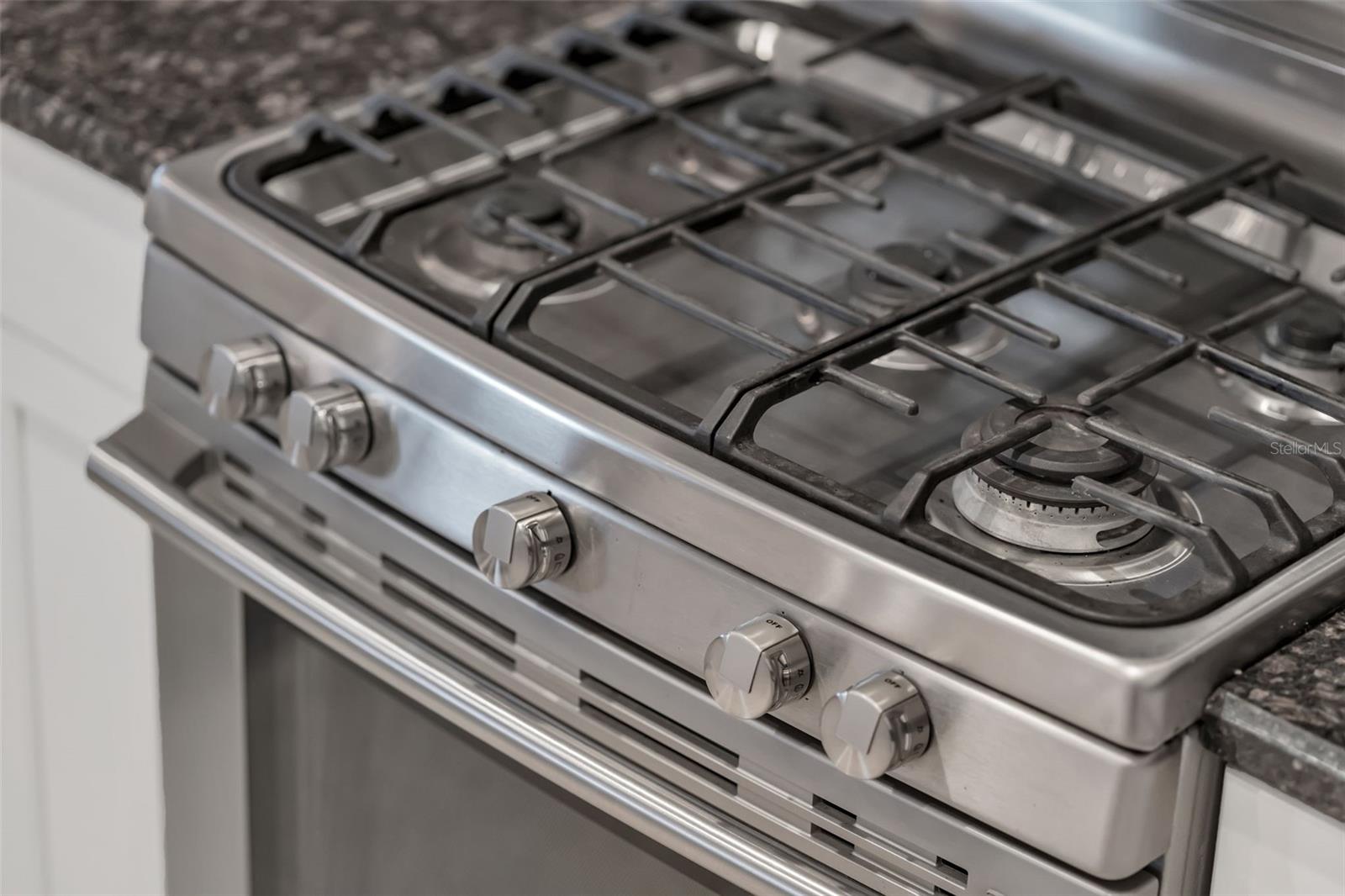 CLERMONT REGENCY HILLS PH 03 LT 67 PB 49 - Residential