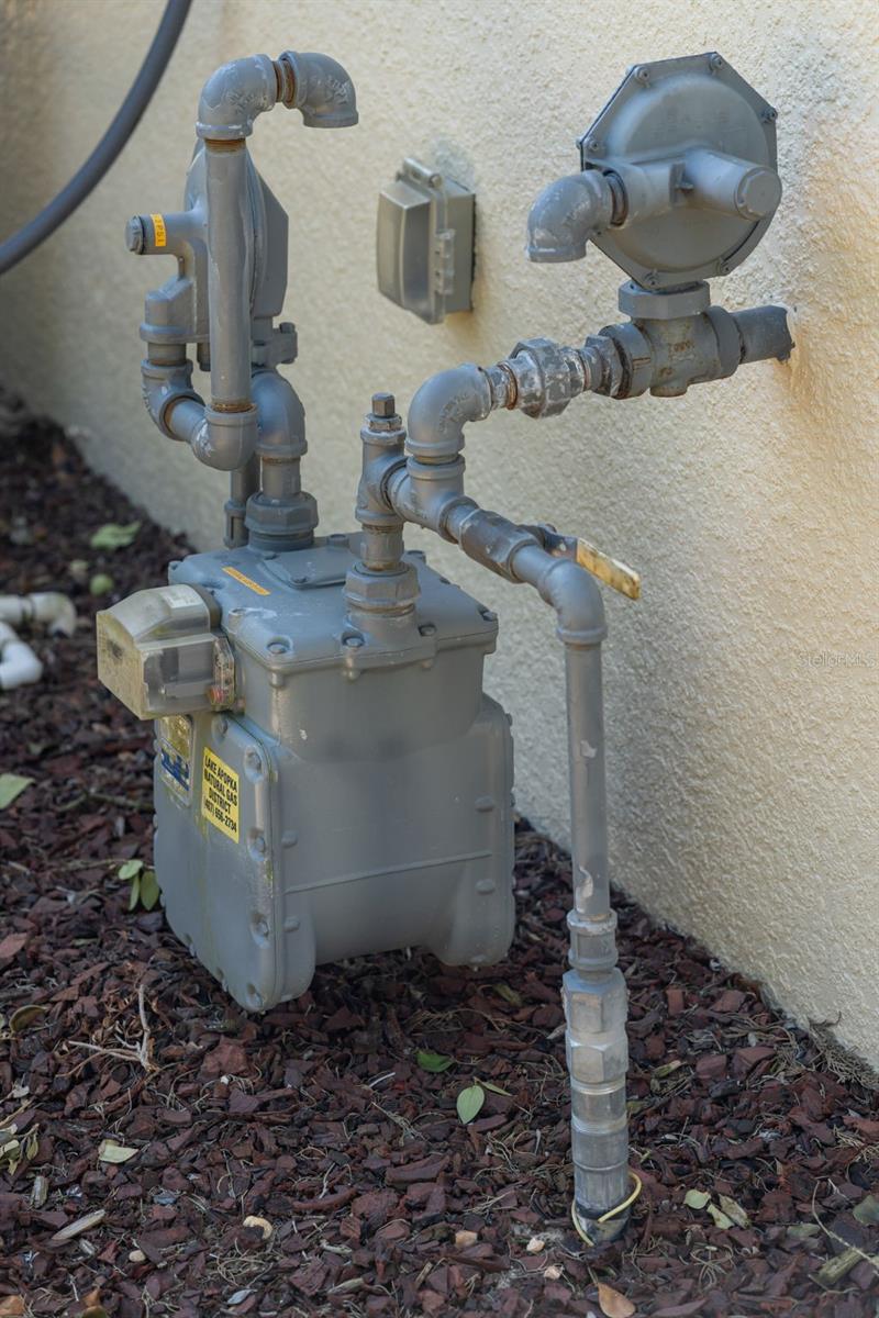 CLERMONT REGENCY HILLS PH 03 LT 67 PB 49 - Residential