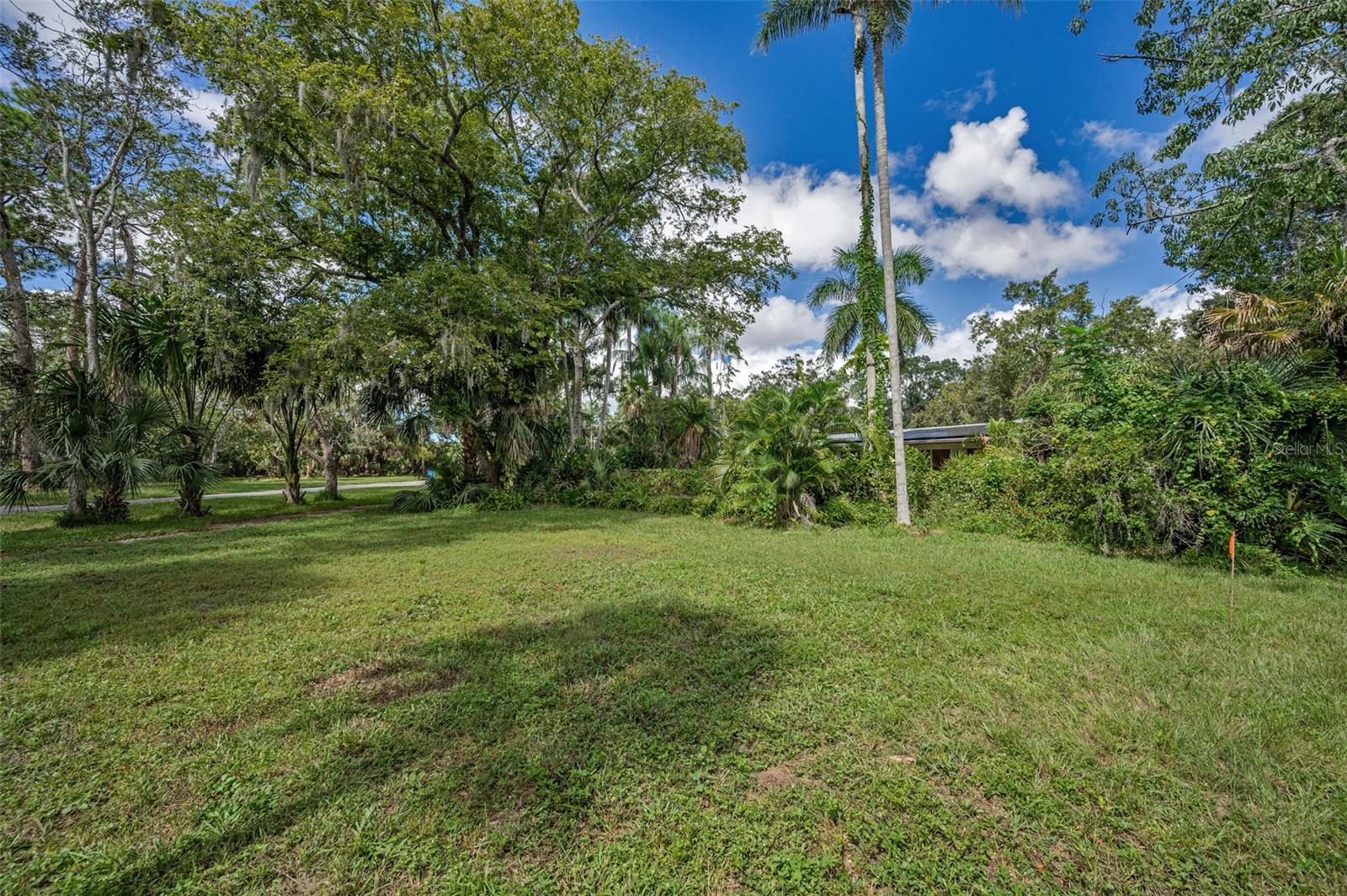 OLDSMAR REV MAP - Residential