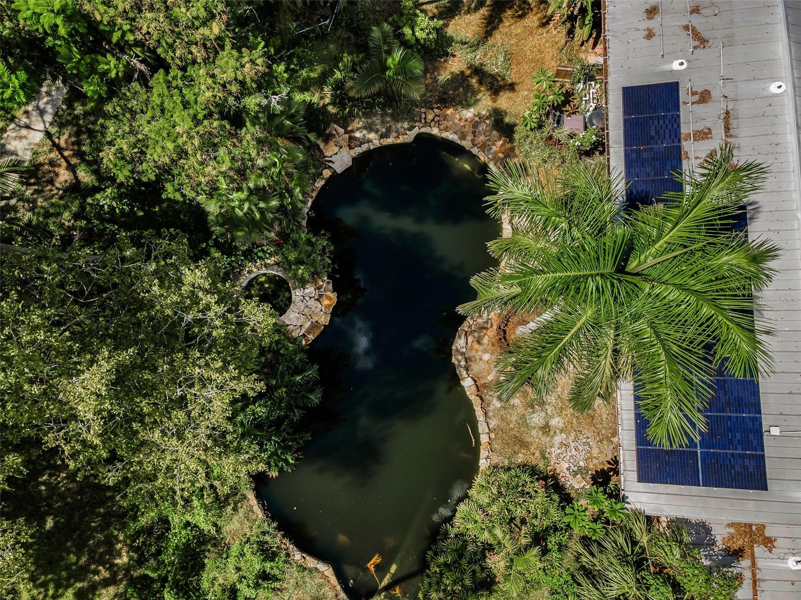 OLDSMAR REV MAP - Residential