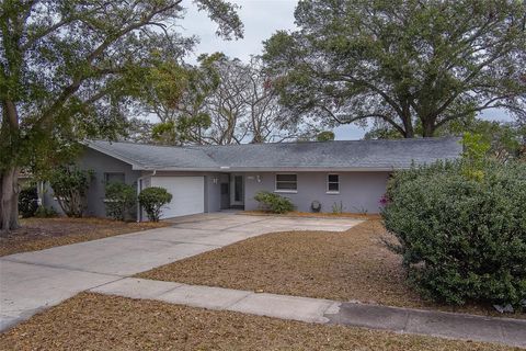 A home in CLEARWATER