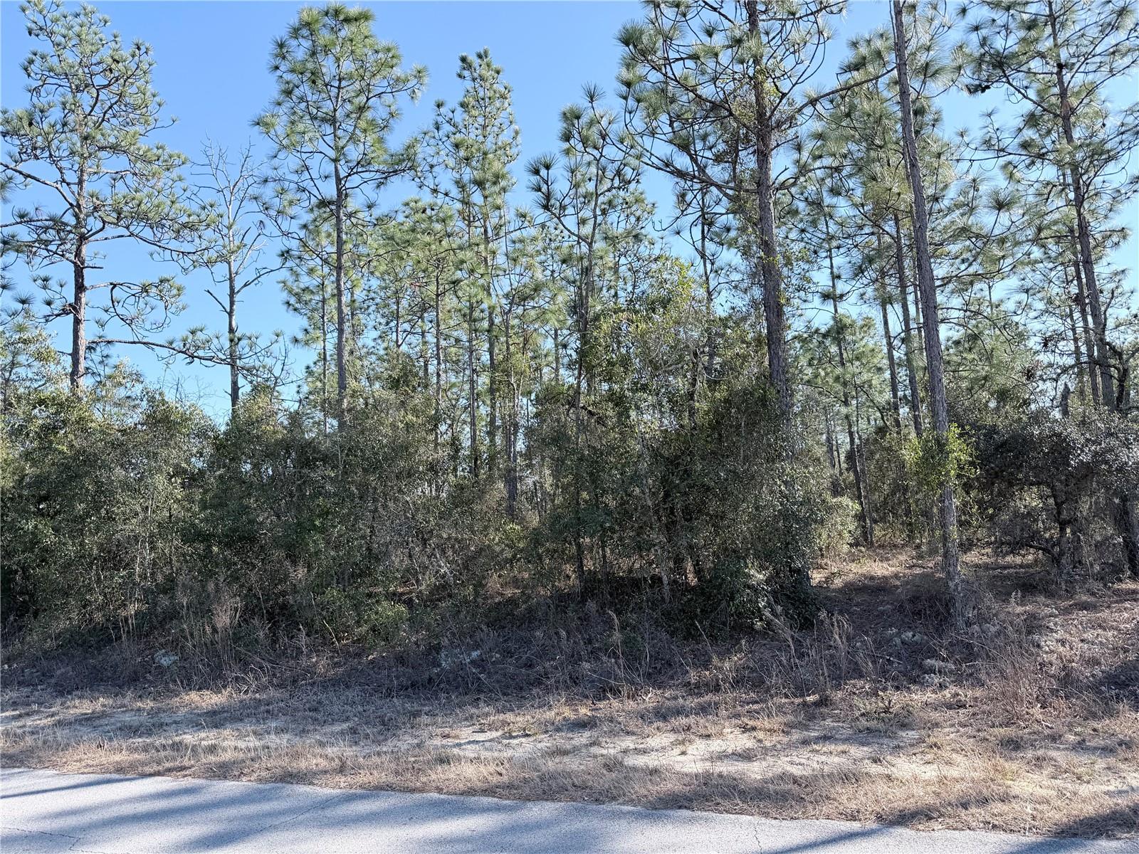 RAINBOW LAKES ESTATE - Land