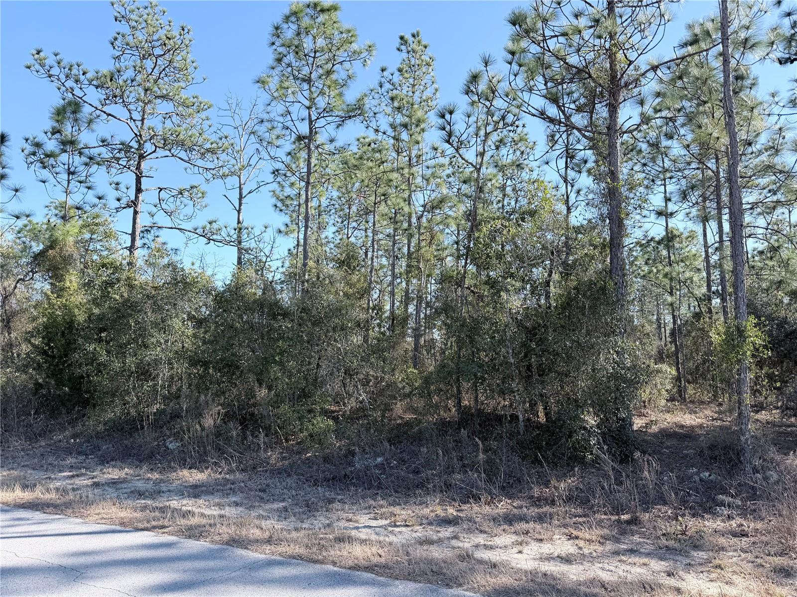 RAINBOW LAKES ESTATE - Land