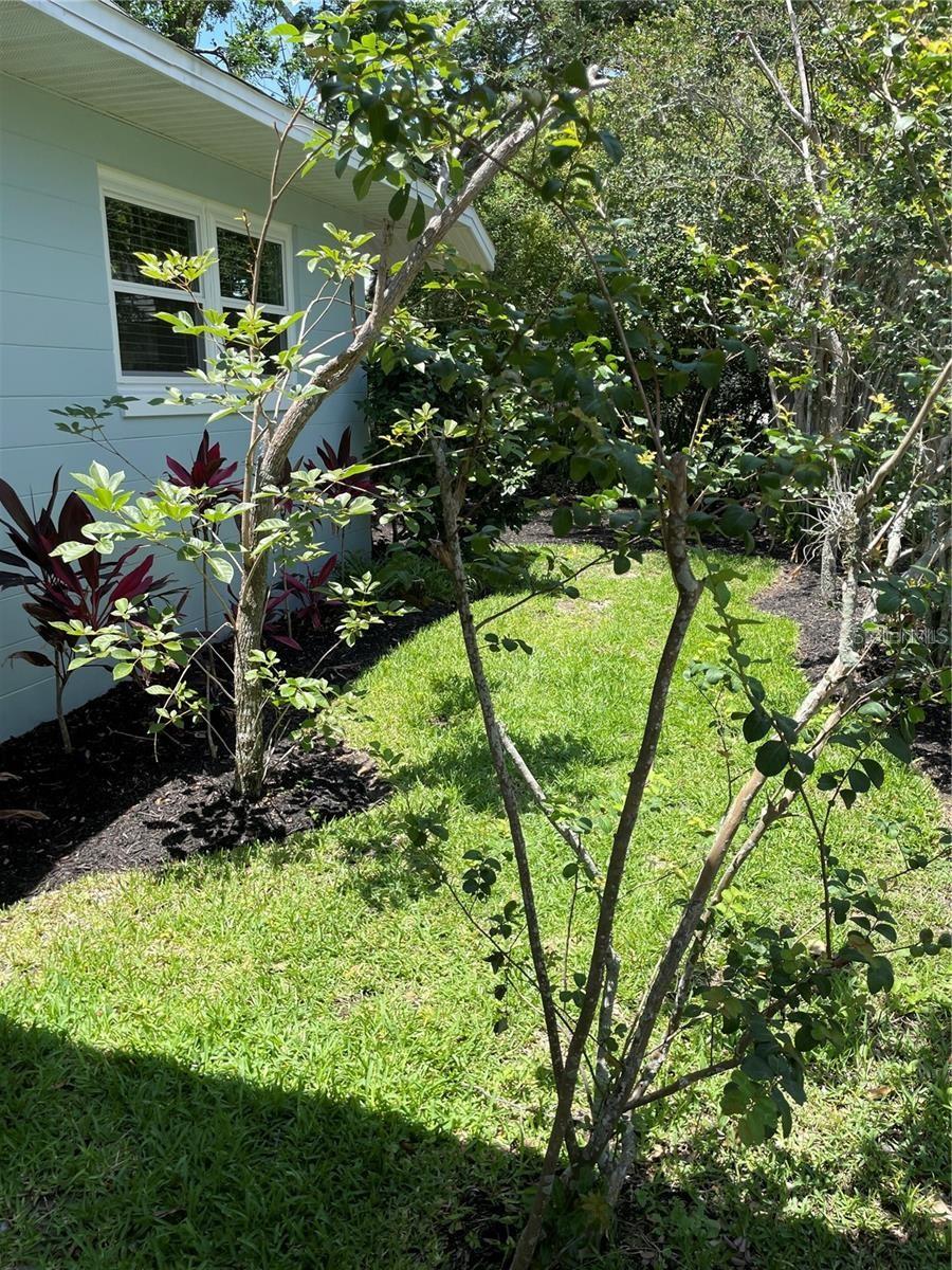 CLERMONT - Residential