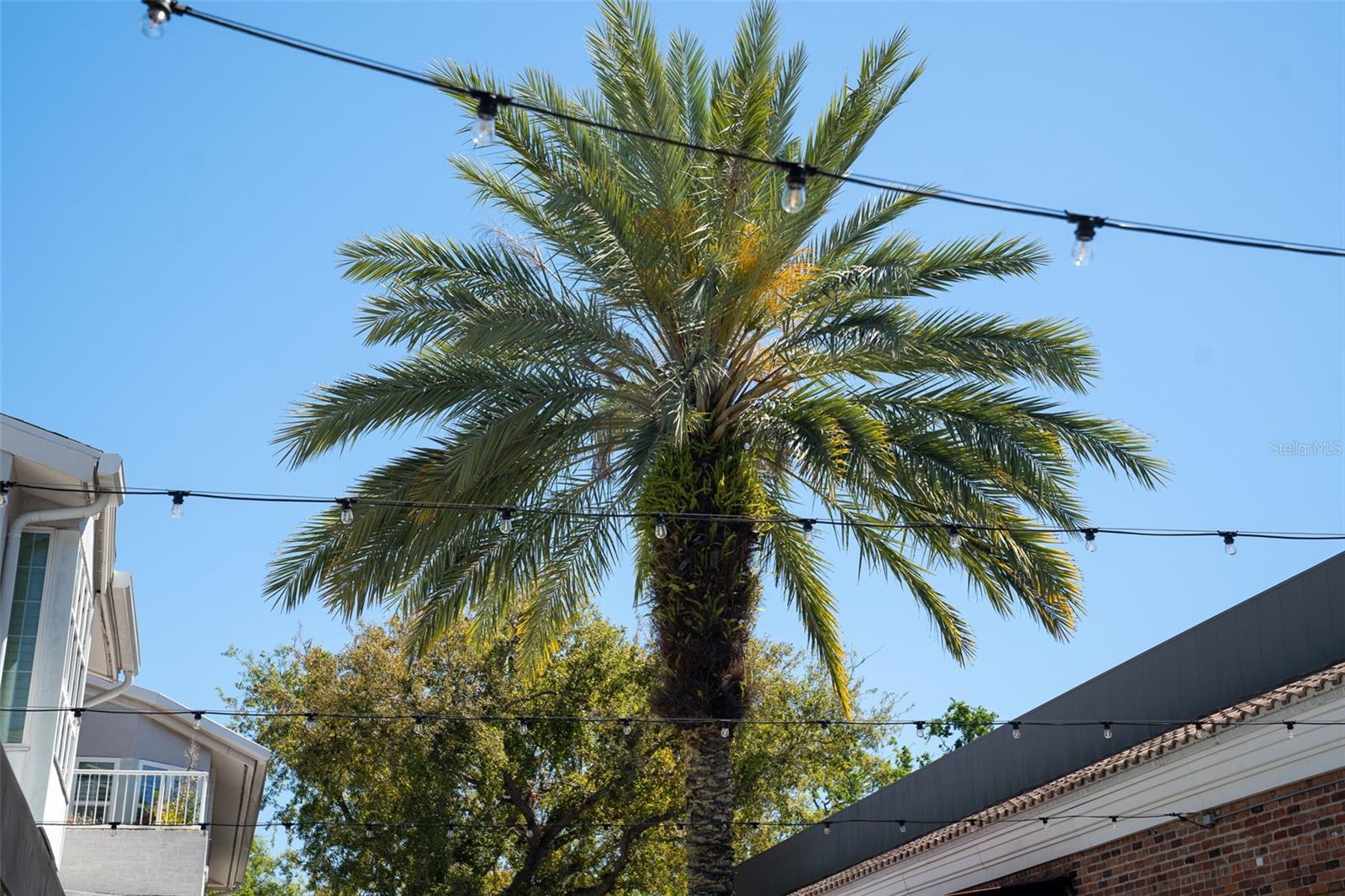 SEYBOLD FLATS A CONDO - Residential