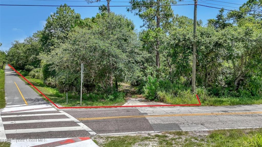 Photo of 4300 Burkholm Road, Mims, FL 32754 (MLS # O6361851)