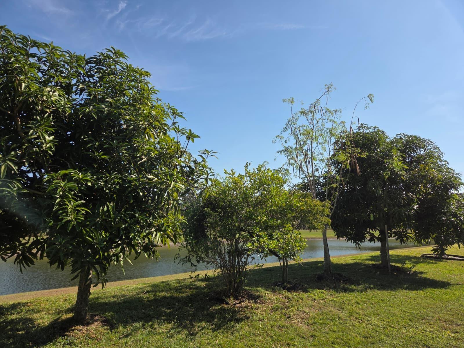 CREEKSTONE - Residential