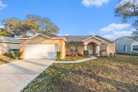 A home in BROOKSVILLE