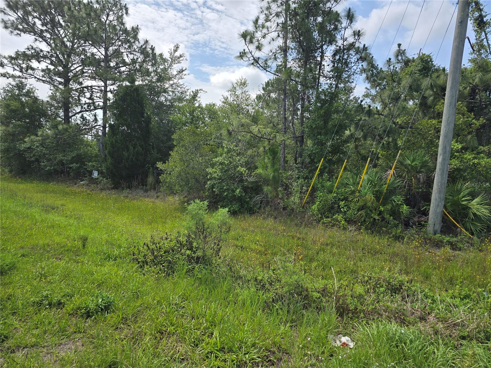 Rare opportunity to own 2.88 acres in this sought after neighborhood of Wedgefield a/k/a Rocket City a/k/a Cape Orlando Estates. This neighborhood offers a peaceful retreat from the hustle and bustle of the city. This property is located in Orange County. The community has an elementary school located in the neighborhood. Located on the corner of Bancroft and Quarterly provides you the opportunity to build your single family home or a spacious estate. The lot measures 150 x 835 or 125250 sq. ft. The homeowners association is voluntary and is not a requirement to own this property. Enjoy golfing? The community features a golf course and club house. The club house is a gathering place for the residents to meet up with each other and enjoy the special activities.